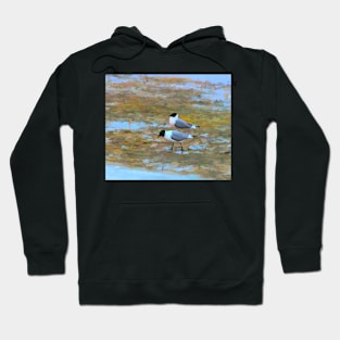 Birds in the marsh illustration Hoodie